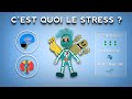 Le Stress C Est Si Mauvais Que ça Découvrez Ses Mystérieux Mécanismes mp3