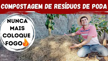 O que fazer com galhos e folhas?