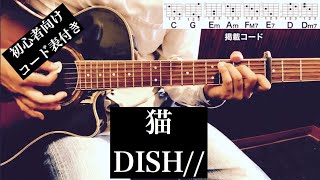猫/DISH//ギター/コード/初心者/簡単