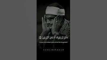 أَفَرَءَيْتُم مَّا تَحْرُثُونَ  #محمد_صديق_المنشاوي  #سورة_الواقعة