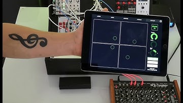 Using 2.4SINK Eurorack Interface with OSC compatible applications!