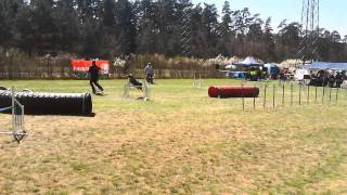 VID 20150419 ManeJ3