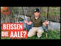 Angeln am Bach - Endlich geht's auf Aal :-)