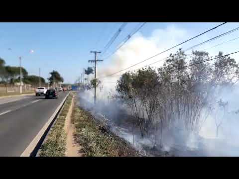 Incêndio em vegetação proximo a BR 101 em Linhares