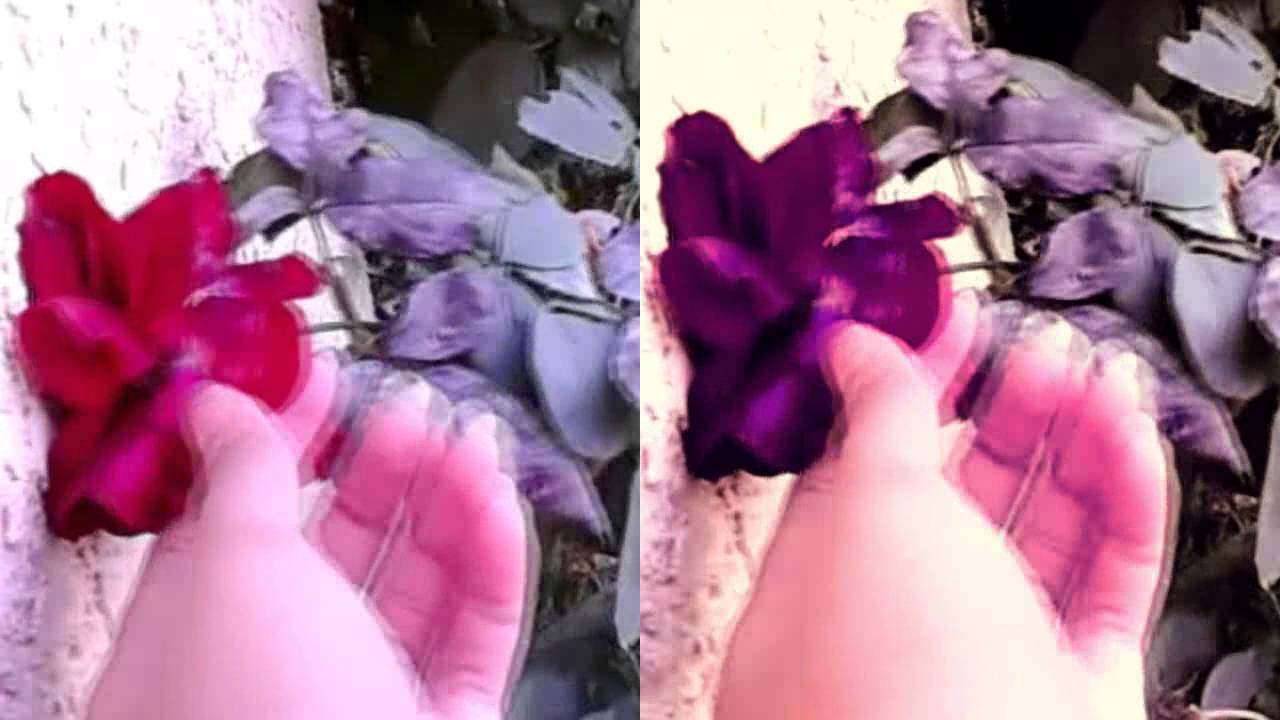 editing videos Vintage Effect Using Sony Vegas