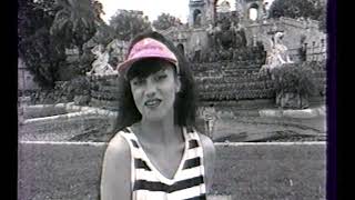1992, Ника, Три (3) хризантемы