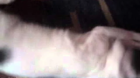My Flecki und ihre 5 Minuten hihi