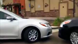 Taco Bell Stand-Off