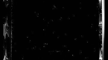 Swimming copepods recorded at the ETH Zurich