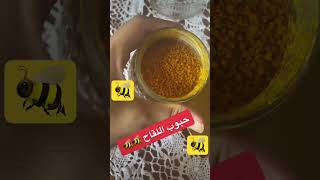 ‏ما هو الفرق بين حبوب اللقاح الطبيعي والمجفف ??￼