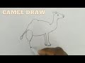 Haw to a draw camelsstep by step camels draw  bipin draw camels