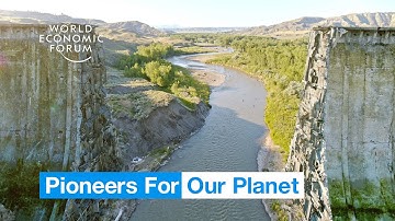 This organisation is removing dams and restoring rivers | Pioneers For Our Planet