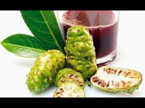 Video: Il succo di noni è sicuro?