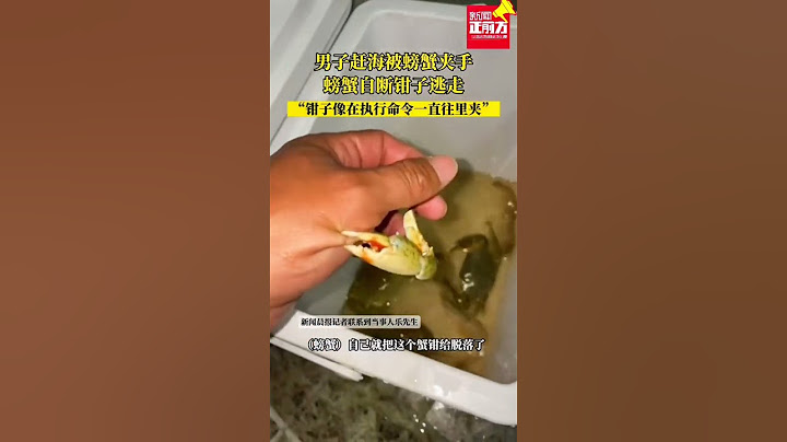 男子趕海被螃蟹夾手，螃蟹自斷鉗子逃走#神奇動物在抖音 #螃蟹#新聞 #真實事件#shorts