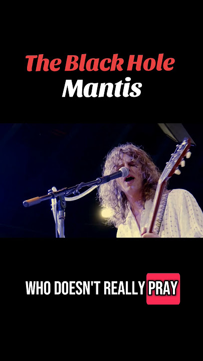 I'm a #mantis who doesn't really pray. #TheBlackHole #ClassicRock #BluesRock #Guitar