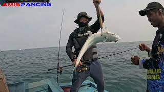 Luar Biasa‼️Edisi Antar Tamu Dari China Mancing Ikan Tuna Tanjung Lesung