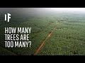 What If We Planted a Trillion Trees?