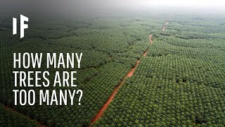 What If We Planted a Trillion Trees