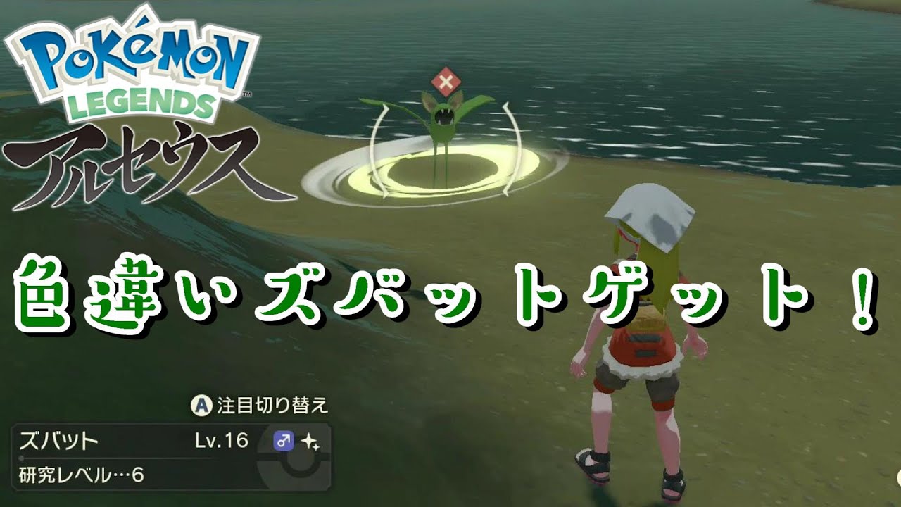 色違い ズバット ゲット Pokemon Legends アルセウス Youtube