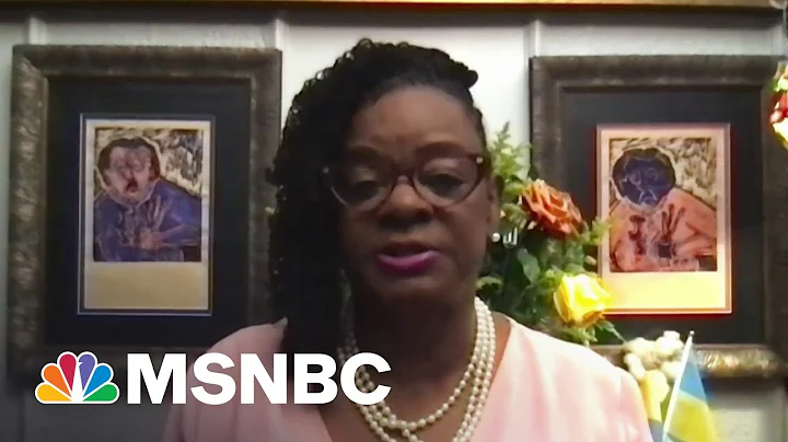 Rep. Gwen Moore: This Won't Stop At Eviscerating A...