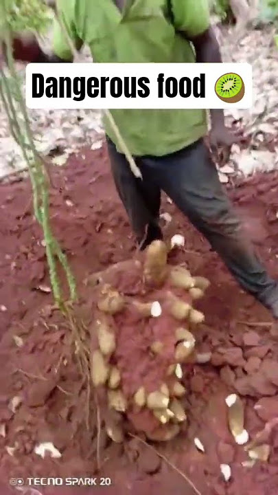 what do you call this yam in your local dialect #football