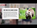 Raser etter dette: - Dyreplageri