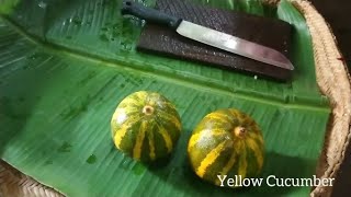 Sri Lanka yellow Cucumber curry