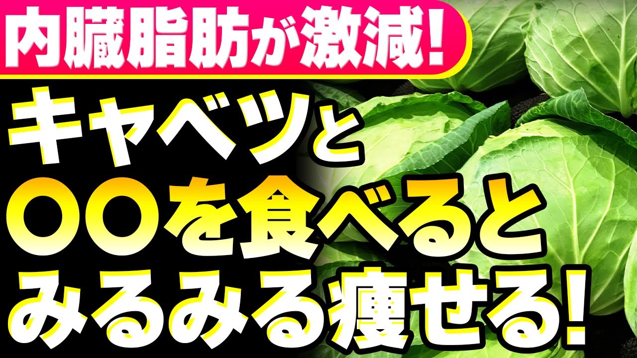 【内臓脂肪ドバる🌀】脂肪燃焼＆血行促進！キャベツと●●の組み合わせで激ヤセ！🥬
