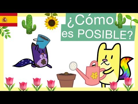 Video: Cuando Plantar Un Niño