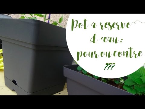 Vidéo: Comment fonctionnent les pots à arrosage automatique ?