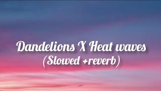 Dandelions X Heat Waves ( Slowed   reverb Lyrics )