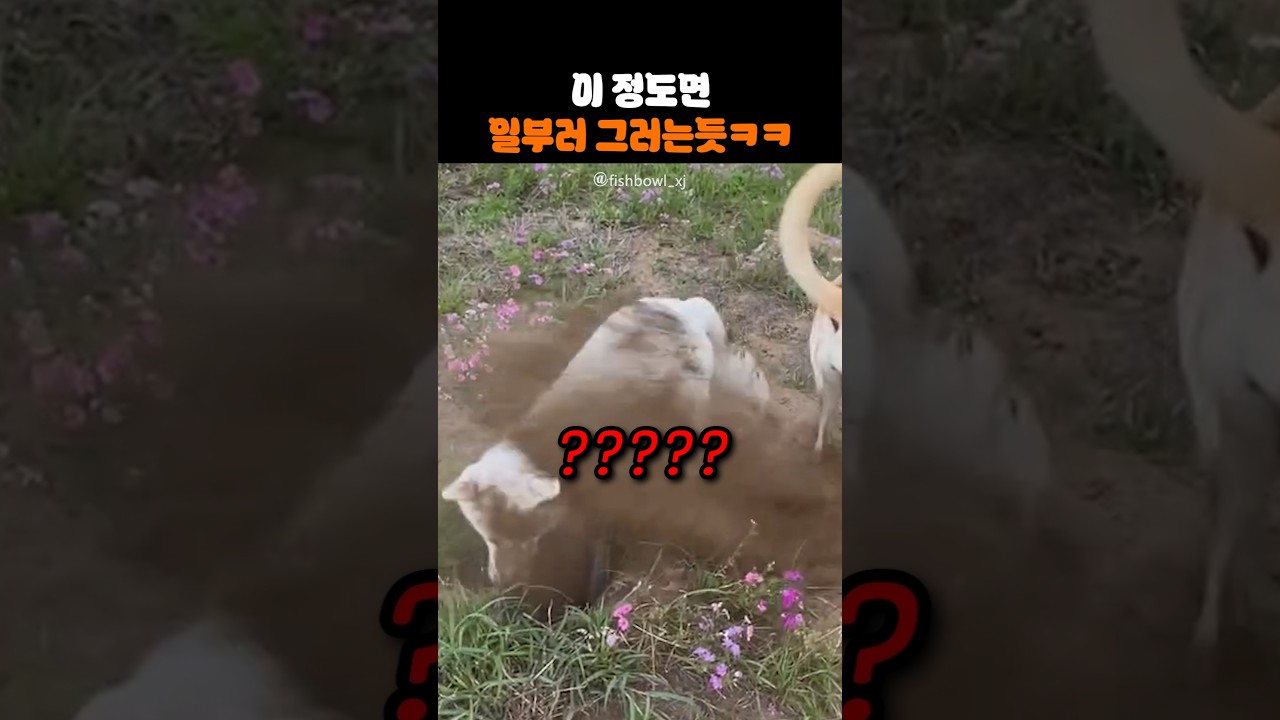 이 정도면 일부러 그러는듯ㅋㅋ