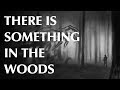 There is Something in the Woods