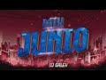 Mix reggaeton nuevo  junio 2023  dj galex fiesta session 1