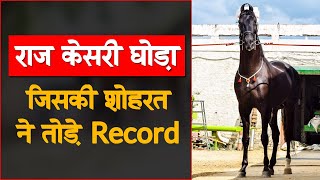 Raj Kesari Horse, जिस की शोहरत ने तोड़े रिकॉर्ड। Mitti