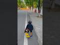 Skate star anika rai skating trending viral road new skateboard