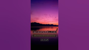 أَلَمْ تَرَ كَيْفَ فَعَلَ رَبُّكَ بِعَادٍ || القارئ أحمد جمال || سورة الفجر