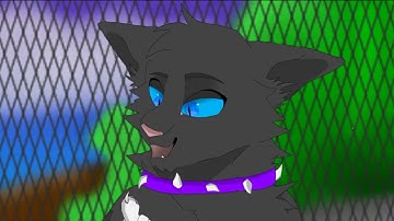 Tricks up my sleeve MAP part 2 (colab with Non Nymph)