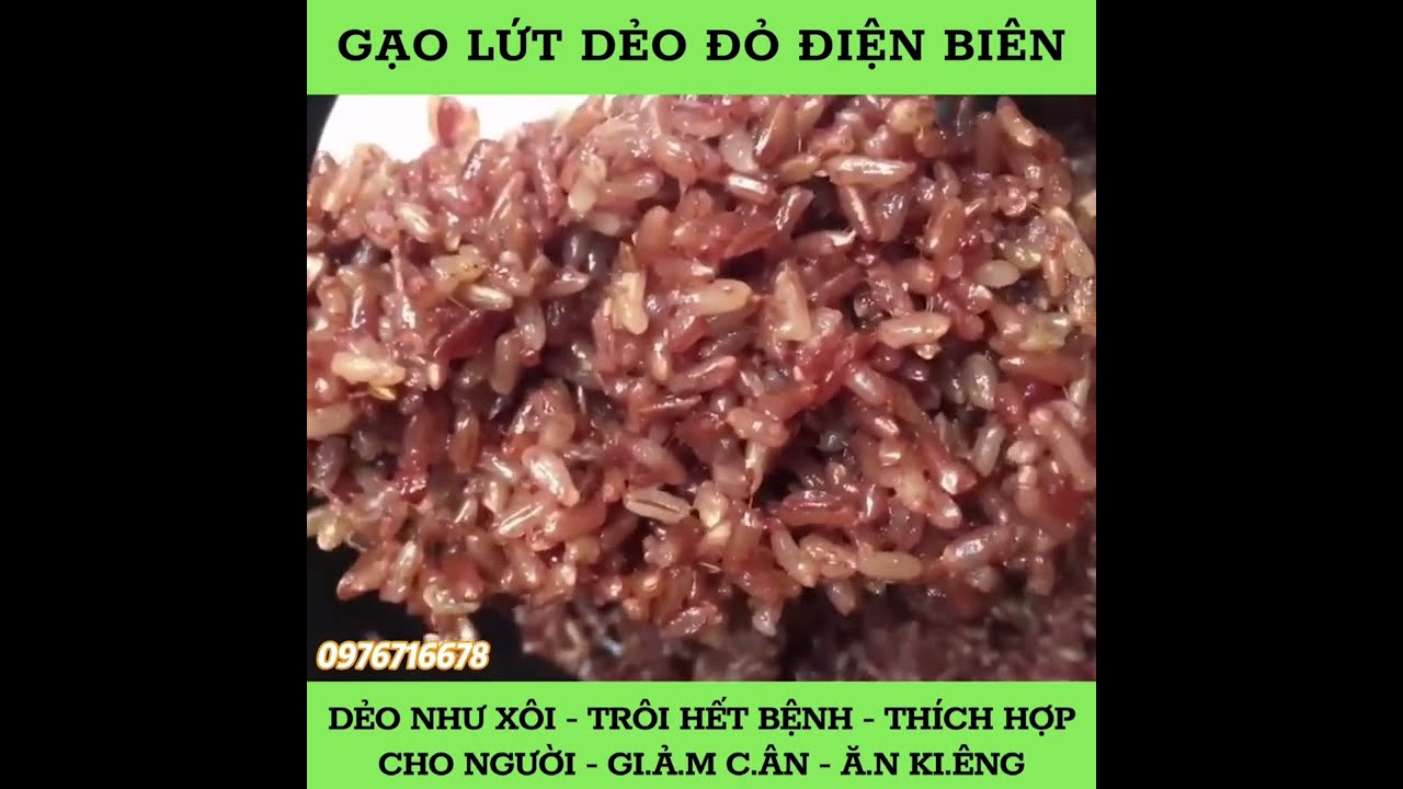 Gạo Lứt Đỏ Dẻo - Tìm Hiểu Về Nguồn Thực Phẩm Dinh Dưỡng Tuyệt Vời