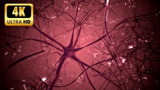 Neurons in brain. 3D looping animation of neural network. |no copyrigh  t#freedownload