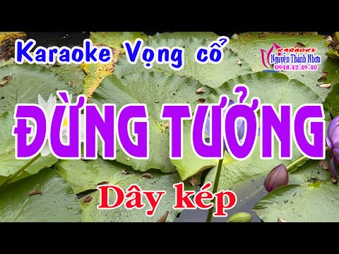 Video Karaoke vọng cổ ĐỪNG TƯỞNG - DÂY KÉP [Thơ: Bùi Giáng -... - youtube