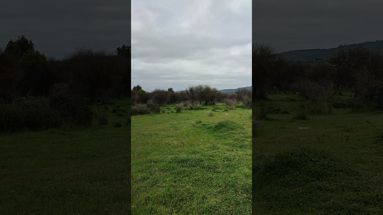 SAN JAVIER MEGAPARCELAS(5)