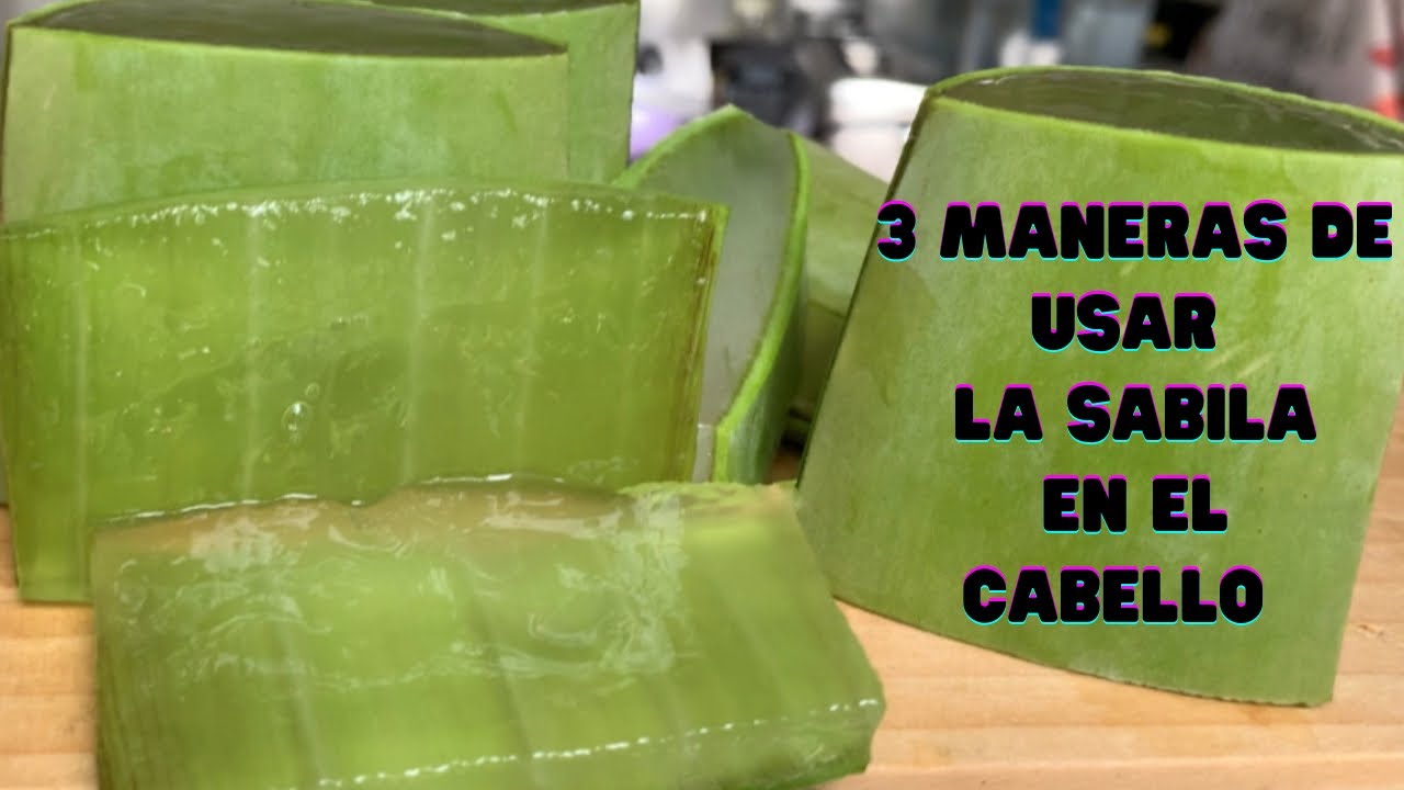 SABILA PARA CABELLO AFRO SECO Y MALTRATADO | SABILA para el crecimiento