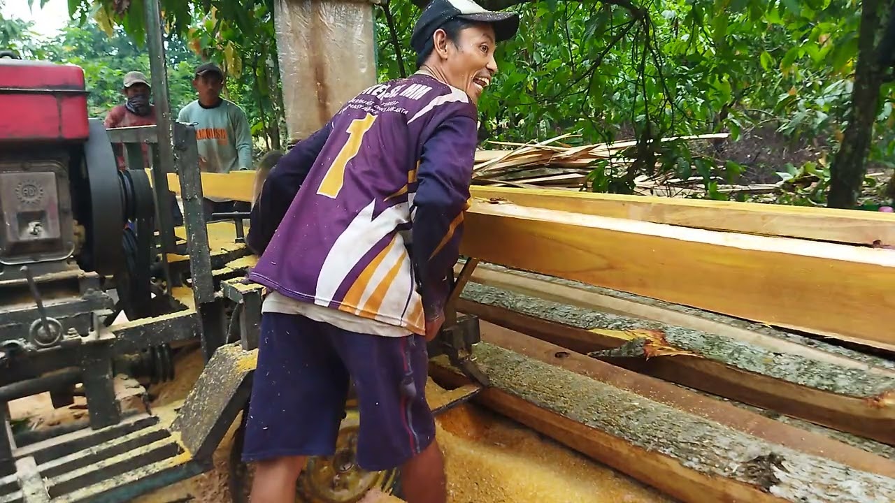 Gesek kayu Afrika🤣