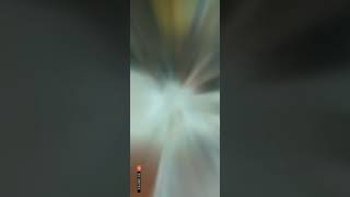 Mazhai Peiyum Podhu Song From Renigunda movie for Full Screen WhatsApp Status