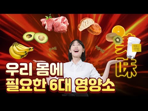 우리 몸에 필요한 6대 영양소🍽