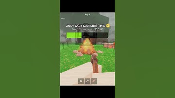 99 Nights in the Forest or Dead Rails - Roblox