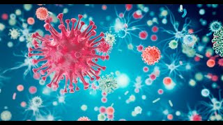 ★ Чем бактерии отличаются от вирусов