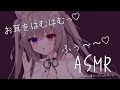 🔴【ASMR/3dio】お耳をはむはむ💓ふーふー💓マッサージするよ【耳はむ/耳ふー/吐息/ジェルボール/タッピング/EarBlowing/Wispering/猫遊みか/vtuber/睡眠導入】