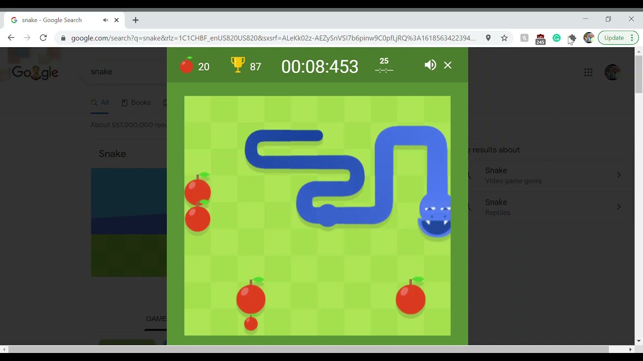 Google Snake Game 100 apples in winged mode speedrun in 4:15.077 